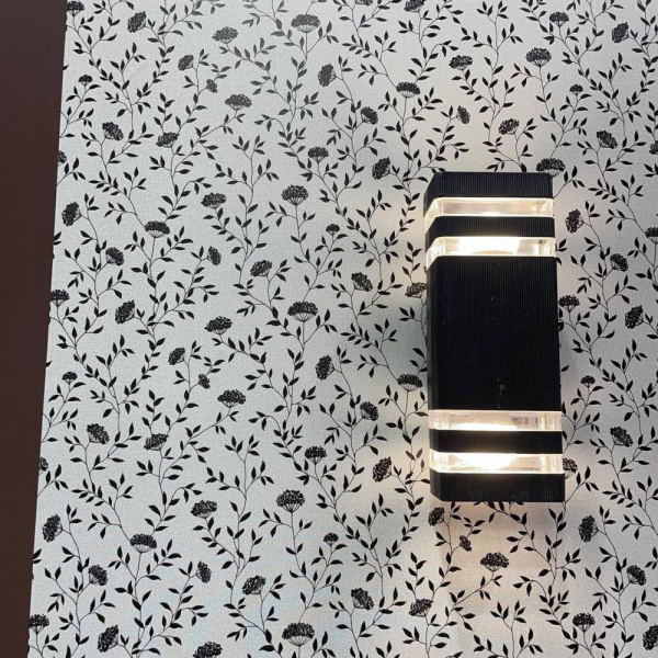 Andrea Rossi Spectrum Box 54456-12