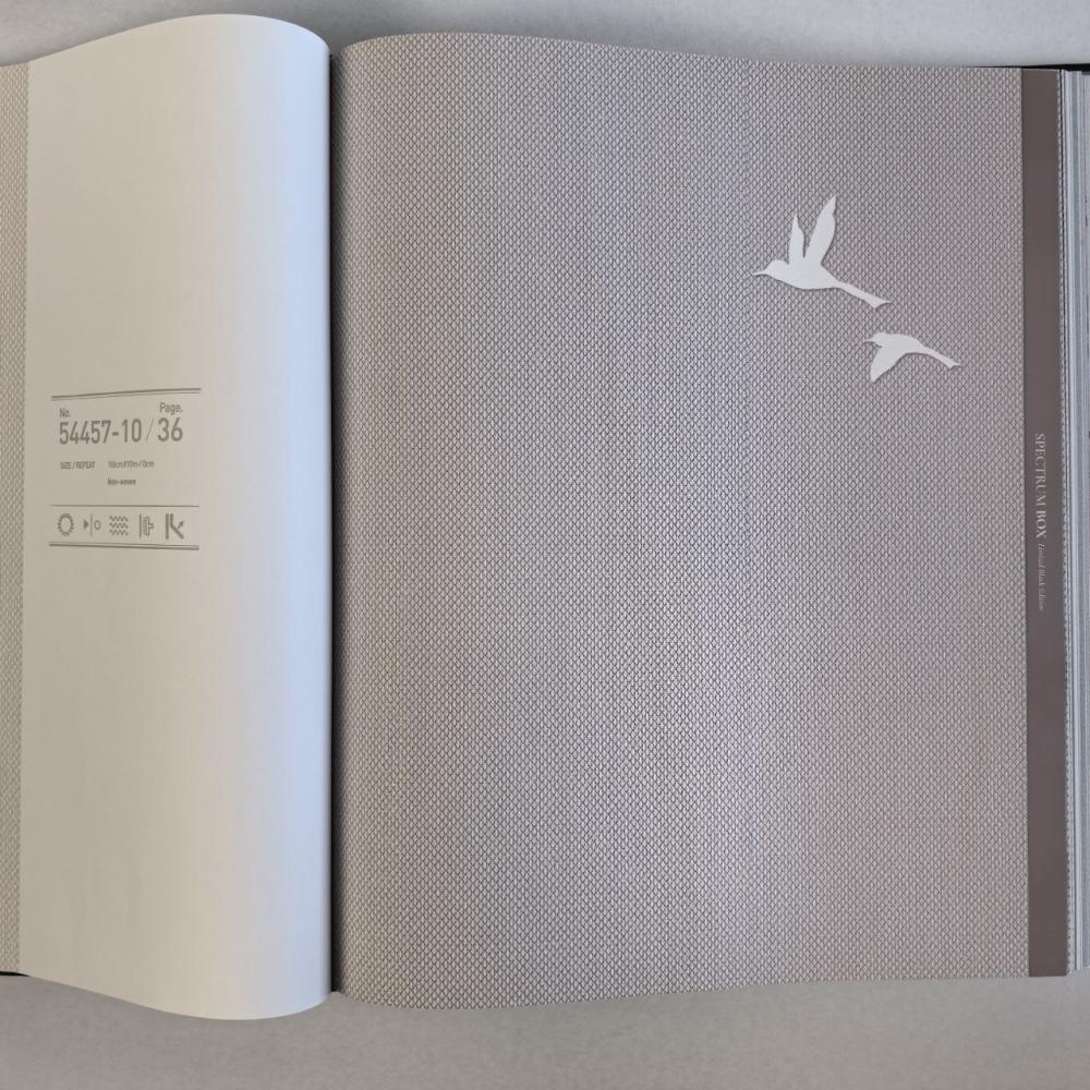 Andrea Rossi Spectrum Box 54457-11 Andrea Rossi Spectrum Box 54457-11