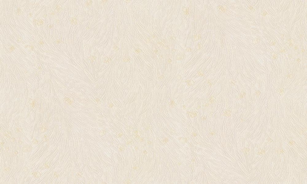 Studio Italia Collection Tesoro TS 10017