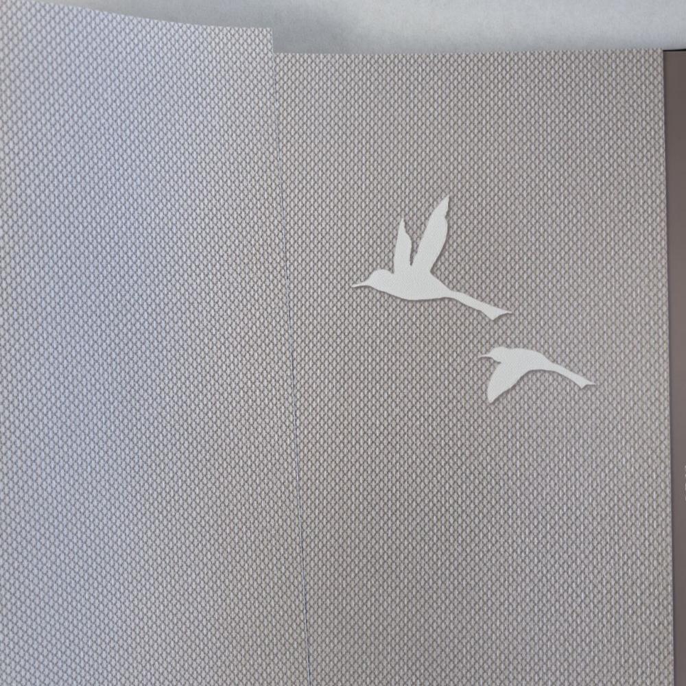 Andrea Rossi Spectrum Box 54457-11 Andrea Rossi Spectrum Box 54457-11