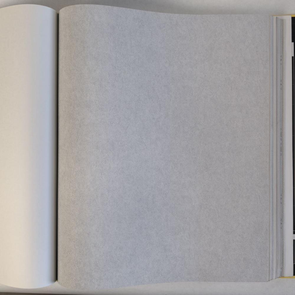 Andrea Rossi Cavolli 54422-6