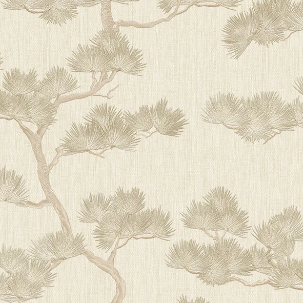 Alessandro Allori Giorgio RGI 1001-2