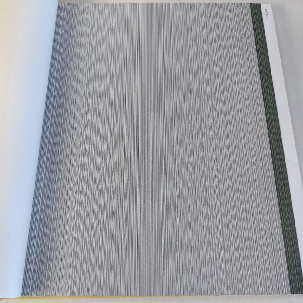 Andrea Rossi Cavolli 54425-7