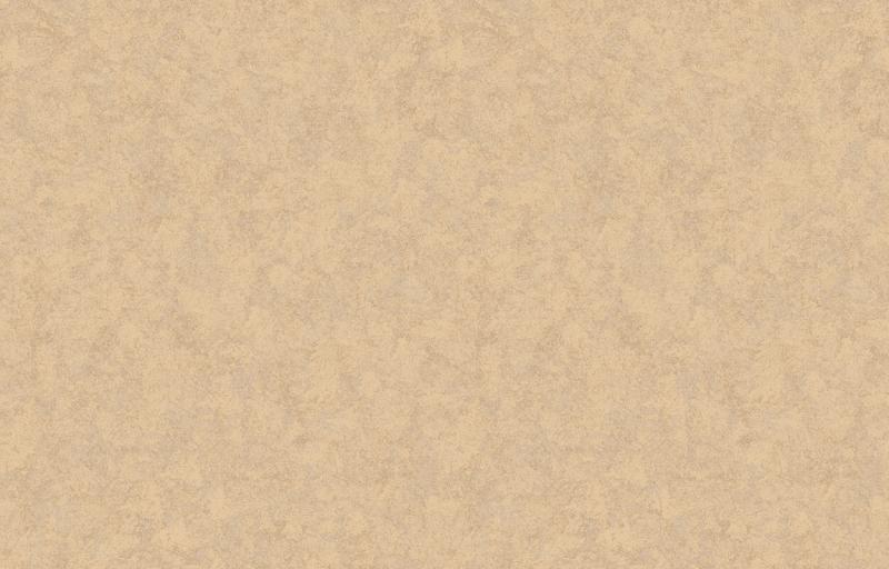 Loymina Shade SD3 008 Loymina Shade SD3 008